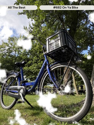 A ground level shot of a navy blue pushbike with a black basket sitting on the grass surrounded by some trees.
