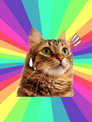 A nervous looking cat in front of a rainbow background.