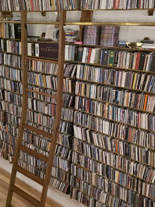 A view of CD shelves with custom ladder