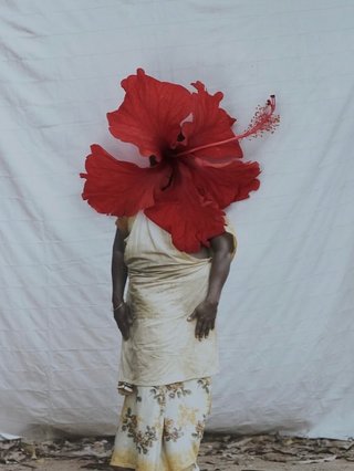 Multimedia image: A printed image of an Indian hibiscus farmer stands in front of a white background dressed in a cotton dress and pants. An actual hibiscus flower covers her face. Image from @somewhereinindia on instagram.