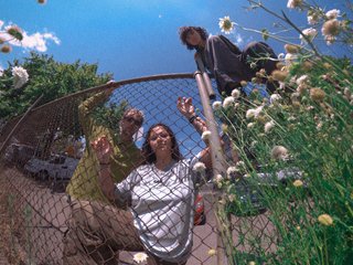 fade evare - leaning against a fence, with plants surrounding