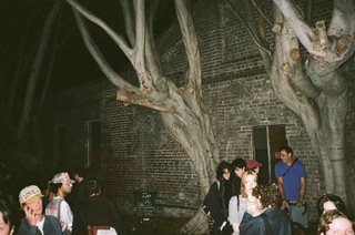 people hanging out around a big tree at - A Conversation with Luke Martins on Freestyle