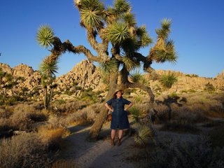 Johanna stands in the middle distance amongst a desert scene with large cacti and trees. She is wearing a knee length blue dress, boots, a hat and is smiling to something on her left under a bright blue sky.
