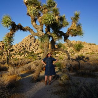 Johanna stands in the middle distance amongst a desert scene with large cacti and trees. She is wearing a knee length blue dress, boots, a hat and is smiling to something on her left under a bright blue sky.