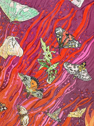 A hand-drawn texta drawing of colourful moths with waves of red and magenta in the background
