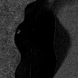 An textured black shape upon a textured gray background