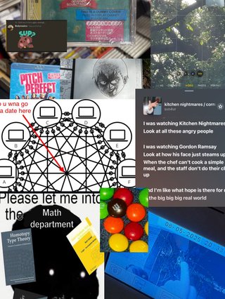 A collage of images, diagrams and memes, generally giving the vibe of singing/computer