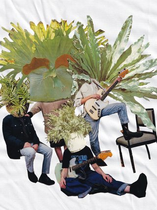 four people with fern plants for heads