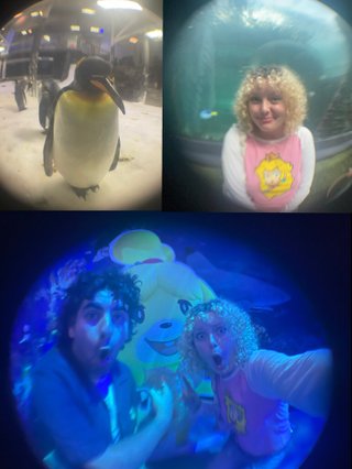 My Date at Animal Crossing: New Horizons x SEA LIFE Sydney Aquarium