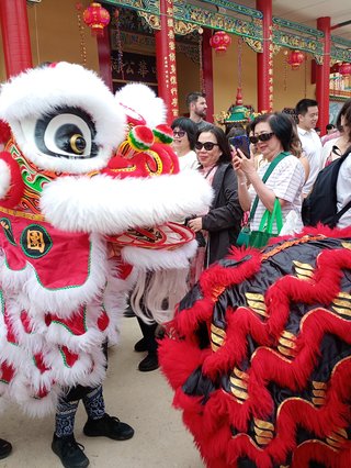 lion dance costumes mid motion at a temple