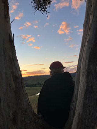 A blonde woman wearing a black hoodie and red cap sitting in a tree, looking out at a sunset over a field.