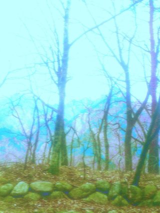 Album cover for 4. Mountain Still Breathing by Mydreamfever.