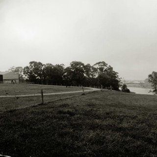 A black and white photograph of a field with a fence running though it and a row of four trees on the middle horizon.
