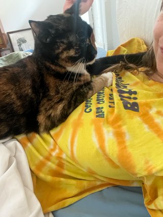 izzy is lying down with a tortoise shell cat laying on her chest. she is wearing a tye dye yellow shirt and looking in the camera. there is a small wooden bookshelf in the left corner of the image.