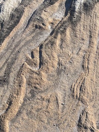 a close up of rocks at la perouse in so called sydney