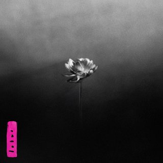 A black and white image of a small lotus flower, on a black and white gradient background. A piece of pink tape with 'lotus' is in the bottom left hand corner.